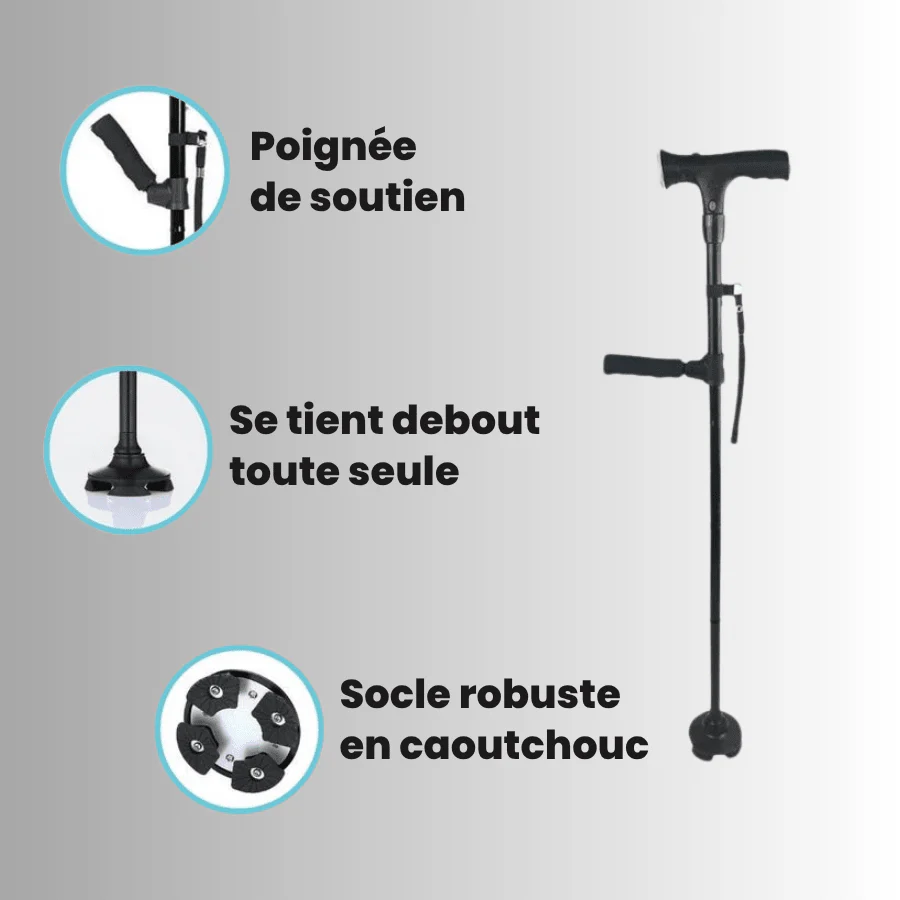 Détails de la canne : poignée d'appui, maintien debout, embout caoutchouc